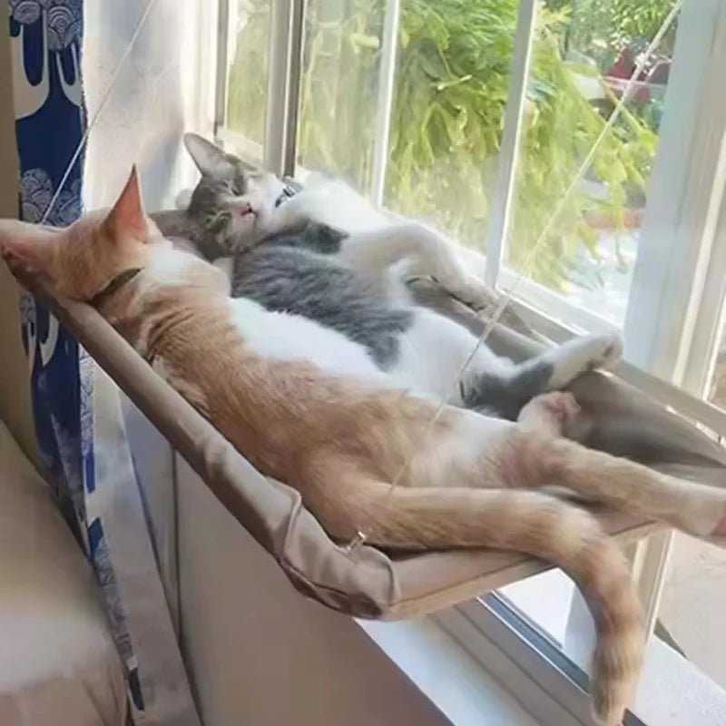 Amaca da Finestra Relax per gatti - ZampaSmart