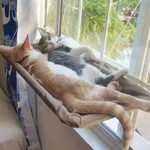 Amaca da Finestra Relax per gatti - ZampaSmart