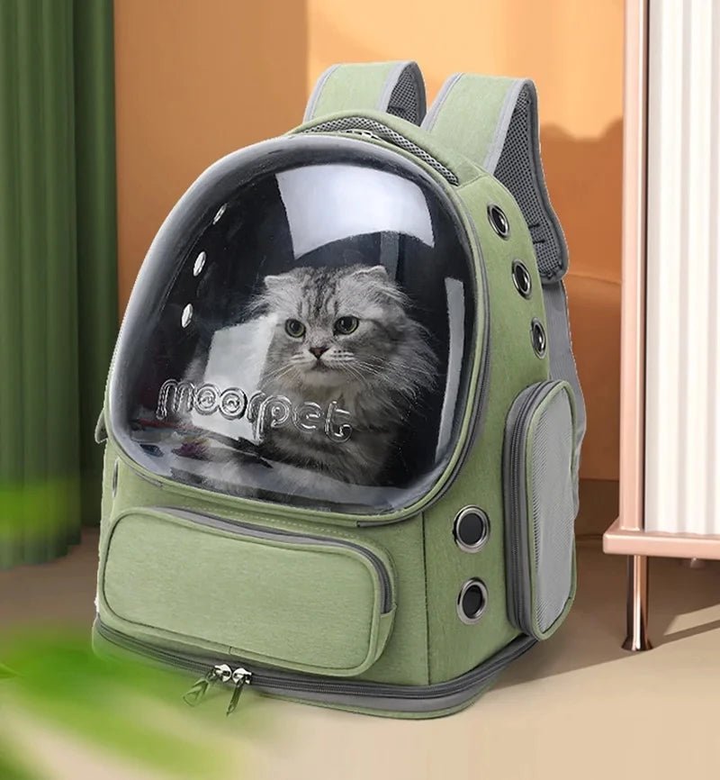 Zaino trasparente per gatti — viaggia con il tuo pelosetto - ZampaSmart