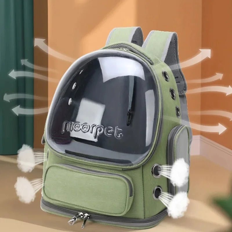 Zaino trasparente per gatti — viaggia con il tuo pelosetto - ZampaSmart